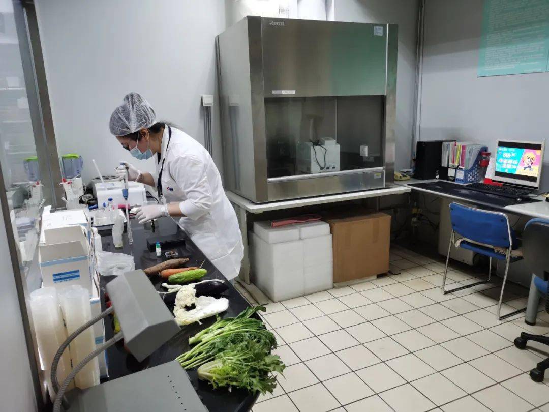 赵县食品检测实验室装修方案